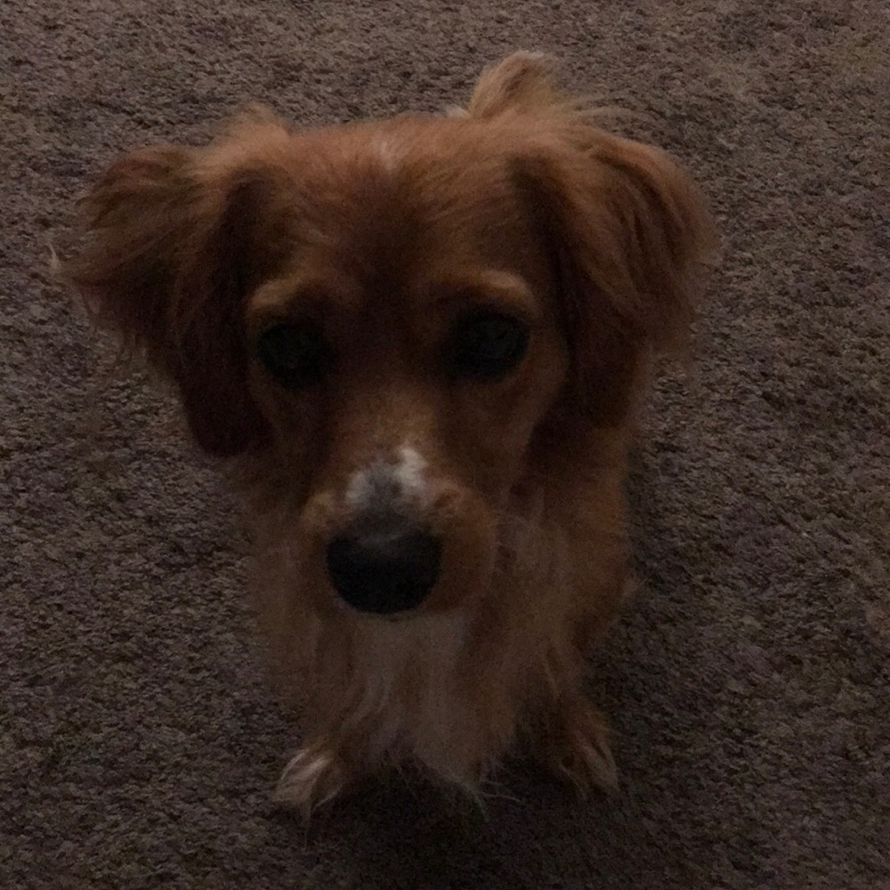 Meet your Posher, Evelyn